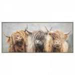 Three of a Kind Highland Cows