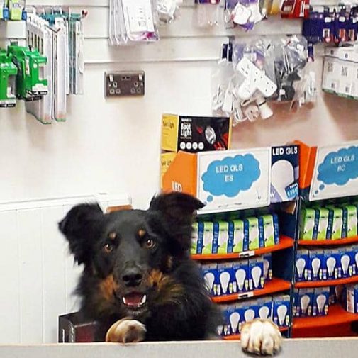 Meet The Team Thompsons Lighting & Interiors meet the team thompsons lighting homeware larne co. antrim