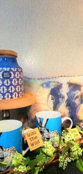 Thompsons Lightinng Northern Ireland gift shop cushions mugs lighting